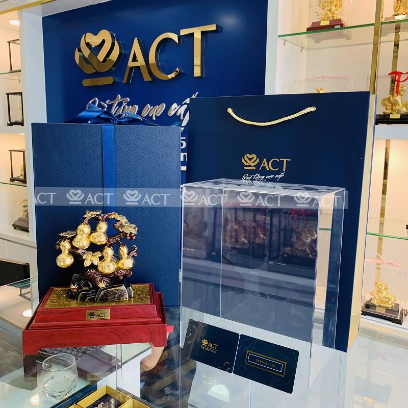CÂY HỒ LÔ DÁT VÀNG