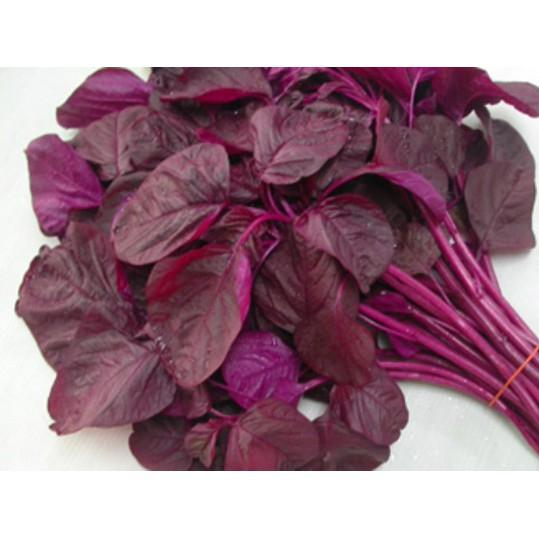 Hạt giống rau dền đỏ 20gr
