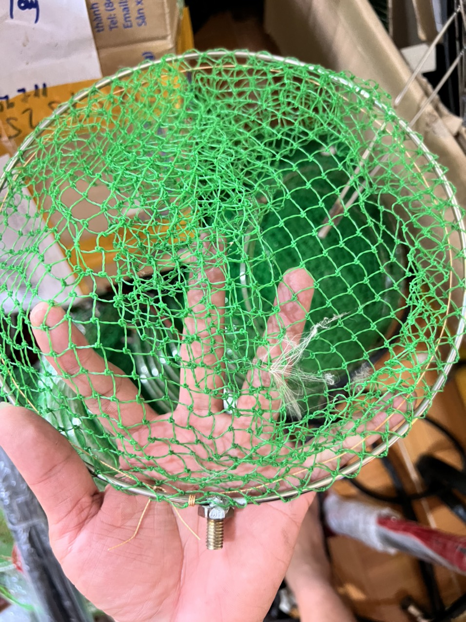 Mặt vợt lưới