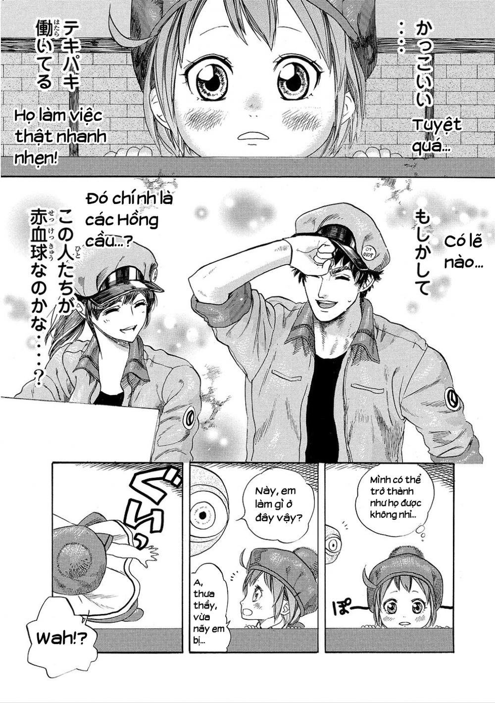 hataraku saibou! chapter 7 13