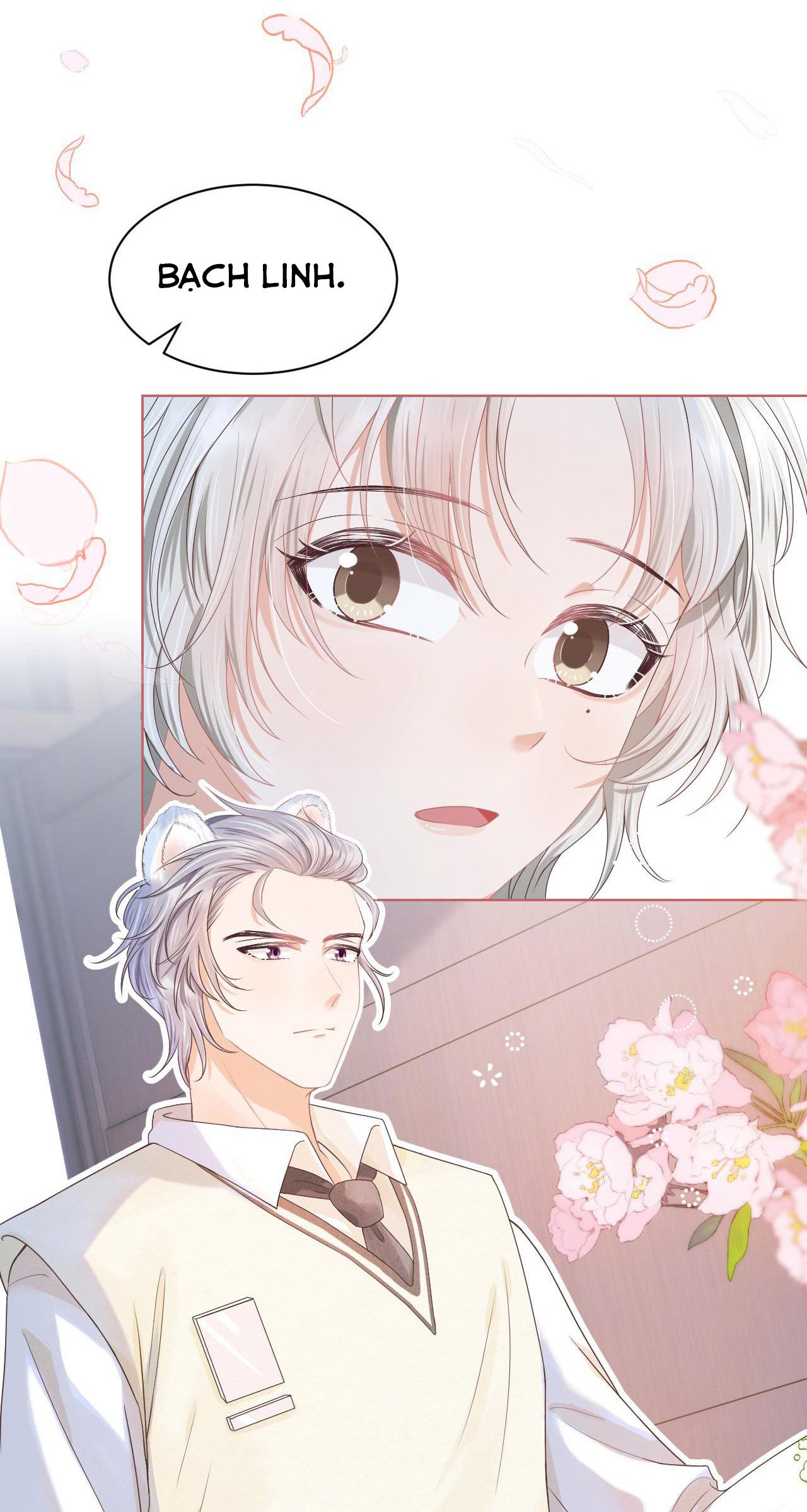 [ss2] một ngụm ăn cả thỏ con chapter 2 43