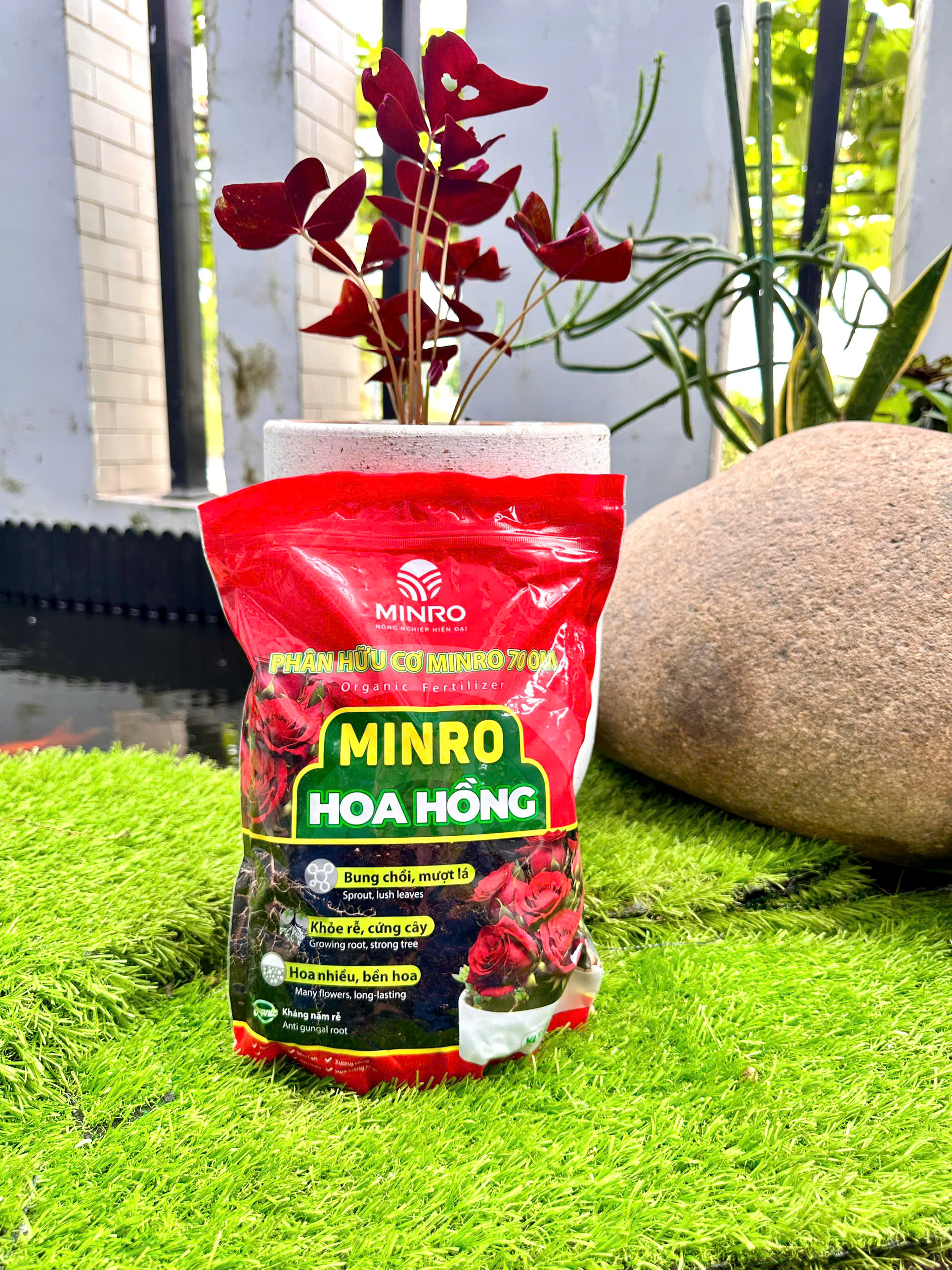 Phân hữu cơ minro 70OM hoa hồng