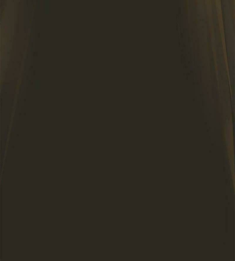 tối cường quang hoàn hệ thống chapter 55 30