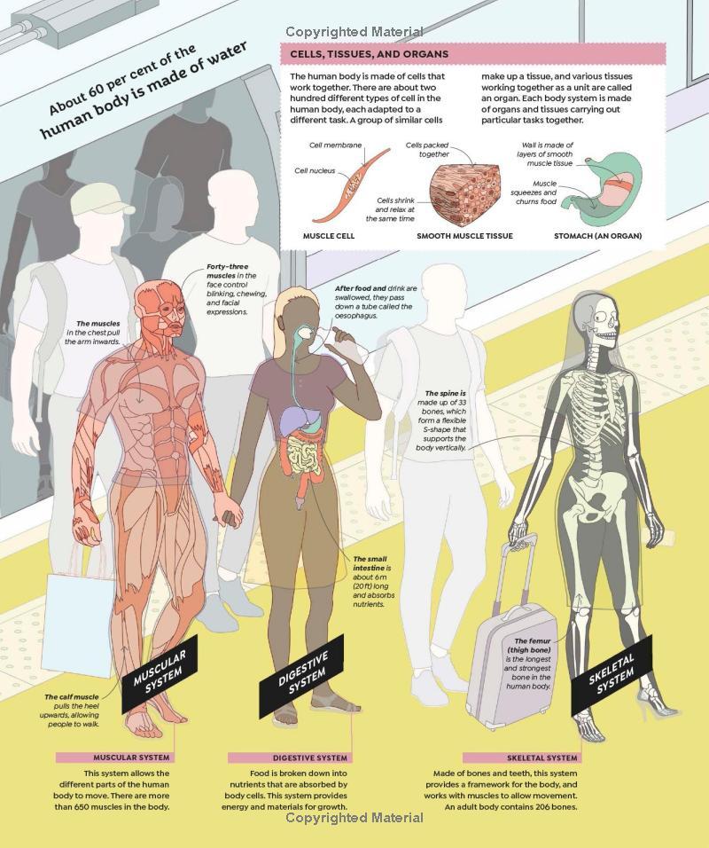 Sách ngoại văn: How Everything Works - From Brain Cells To Black Holes