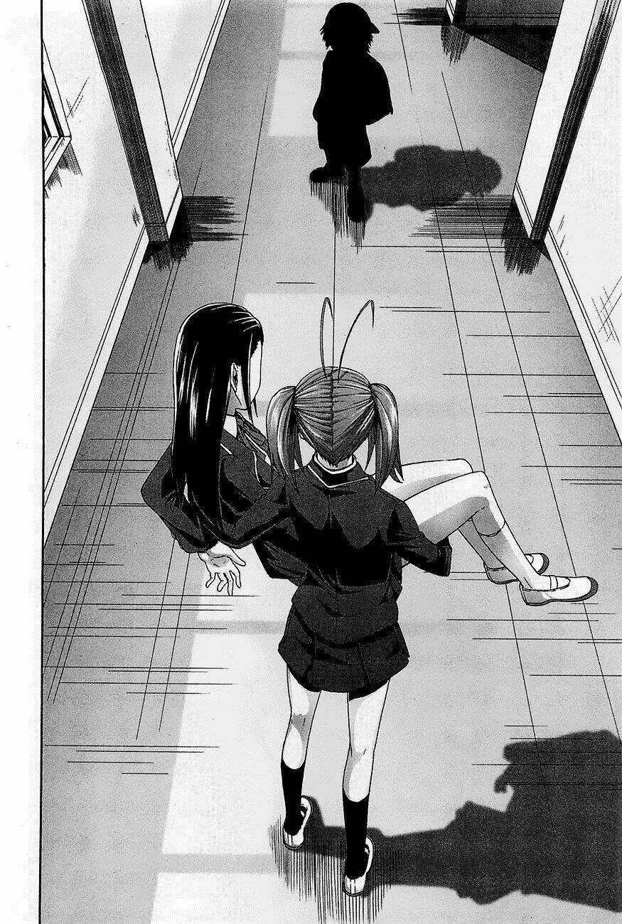 arachnid chapter 24 10