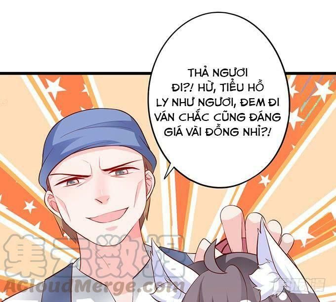 hồ tiên hung bạo chapter 158 18