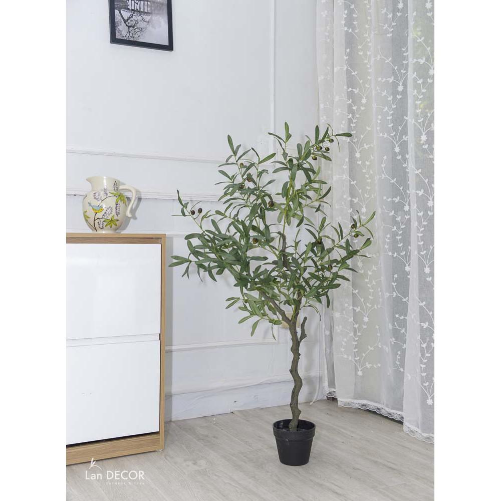 Cây Oliu giả trang trí cao cấp Lan Decor - (Các size 85cm, 130cm, 165cm)