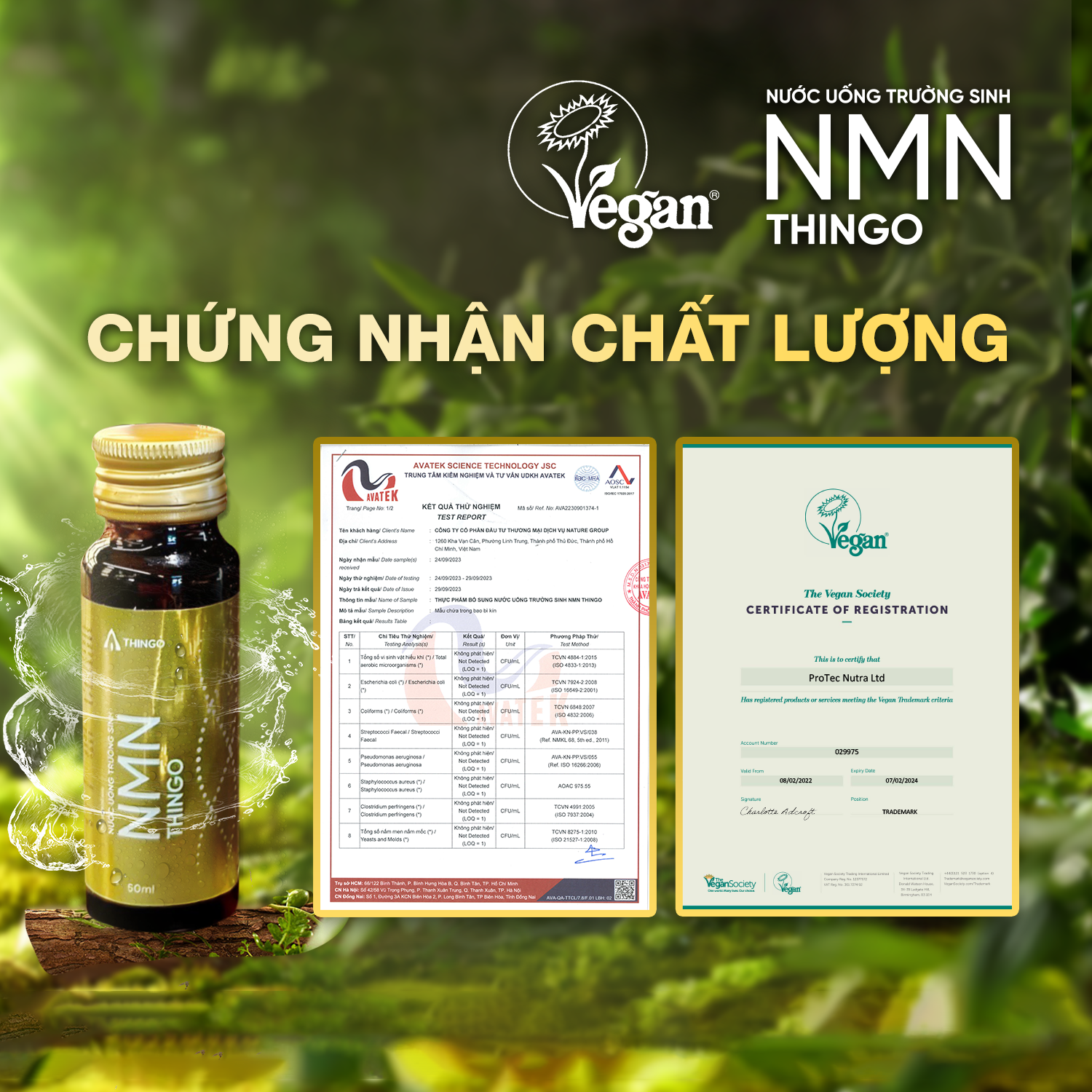 Nước Uống NMN Thingo - Nâng Cao Sức Khỏe Và Hệ Miễn Dịch