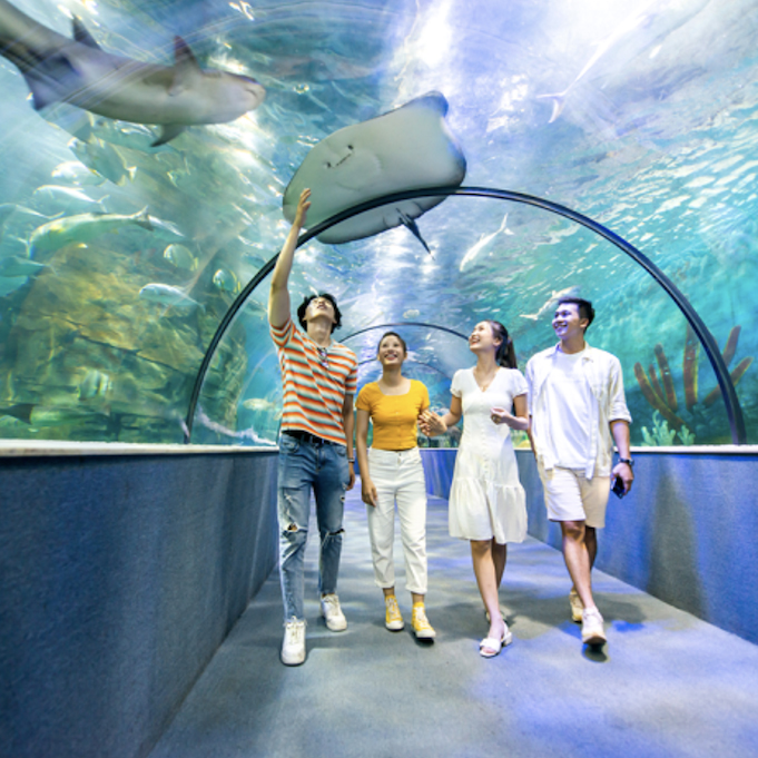 Vé vào cửa người lớn tại Thủy Cung Aquarium - Áp dụng cho khách hàng từ 140 cm trở lên (T7, CN, Lễ)