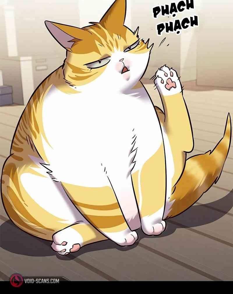 biến thân thành mèo chapter 244 14