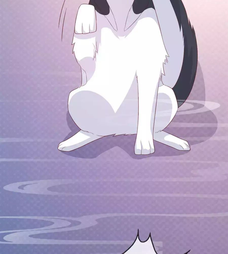 cuộc sống hào môn của vu nữ chapter 41 13