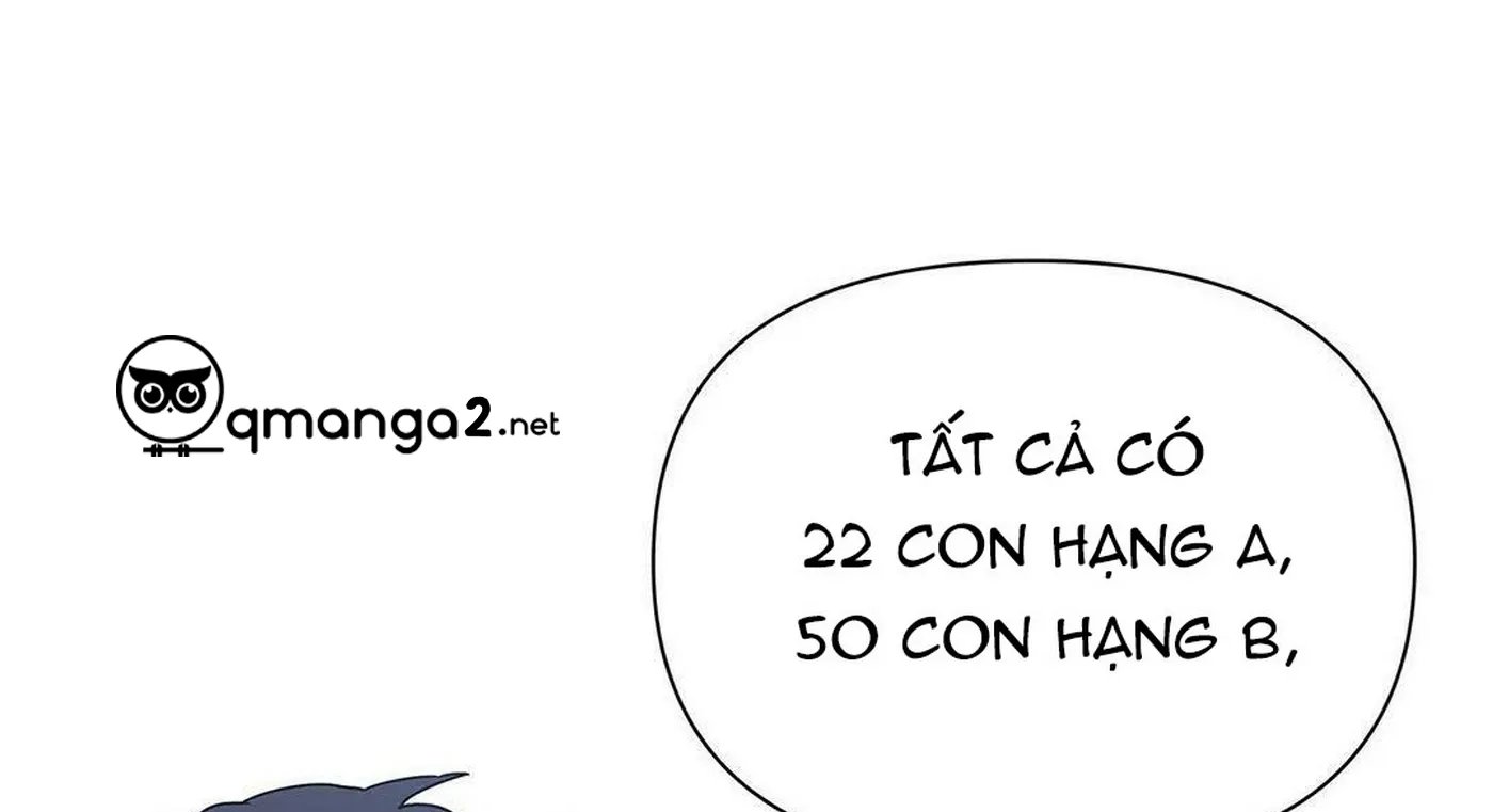 guide cấp b chapter 6 42