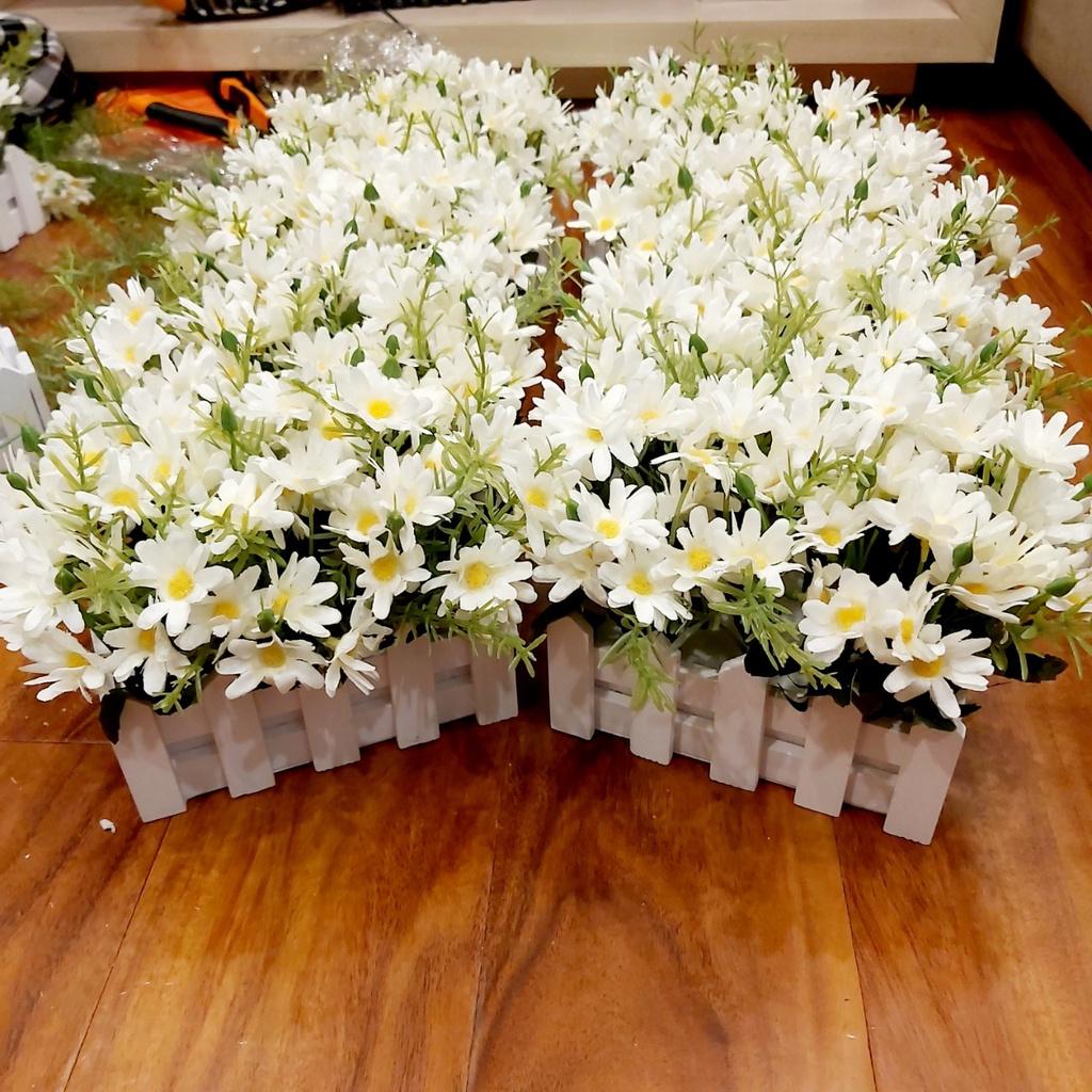 Hoa lụa, giỏ hoa cúc họa mi đẹp cắm sẵn hàng rào gỗ trang trí nhà cửa, văn phòng, spa, khách sạn GC-01