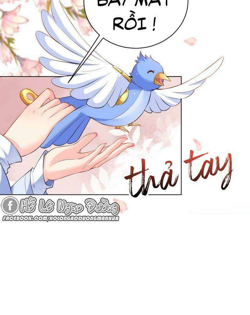 quận chúa vững vàng, thiết lập nhân vật không thể vỡ chapter 43 59