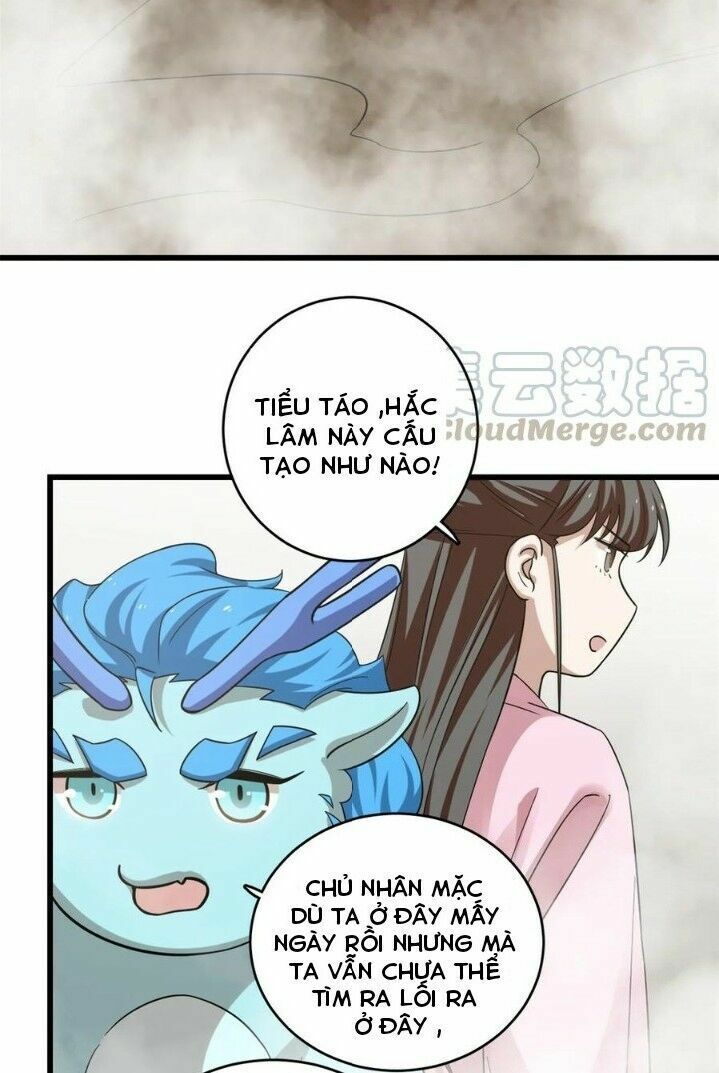 độc bộ thiên hạ: đặc công thần y chapter 214 13