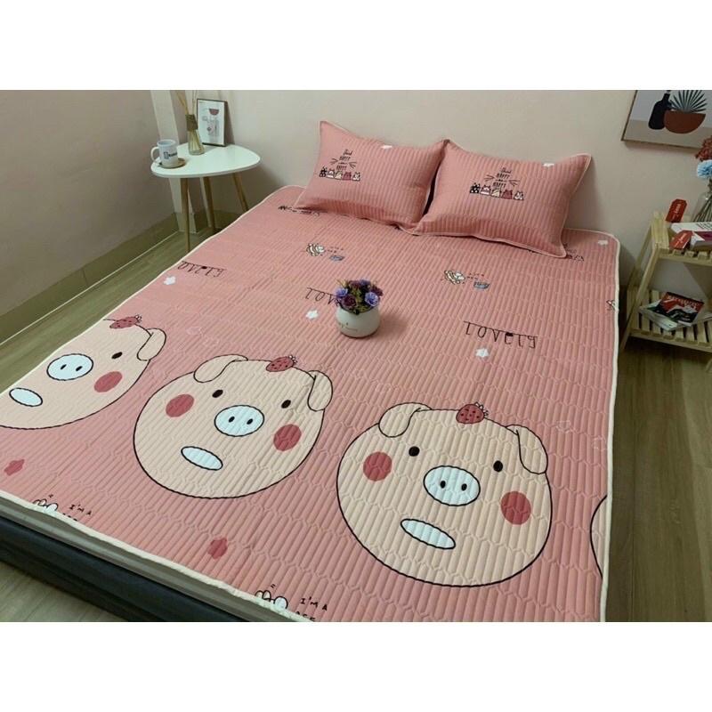 Chiếu Điều Hoà Cotton Đũi Đa Năng Cao Cấp ( Nhiều Hoạ Tiết