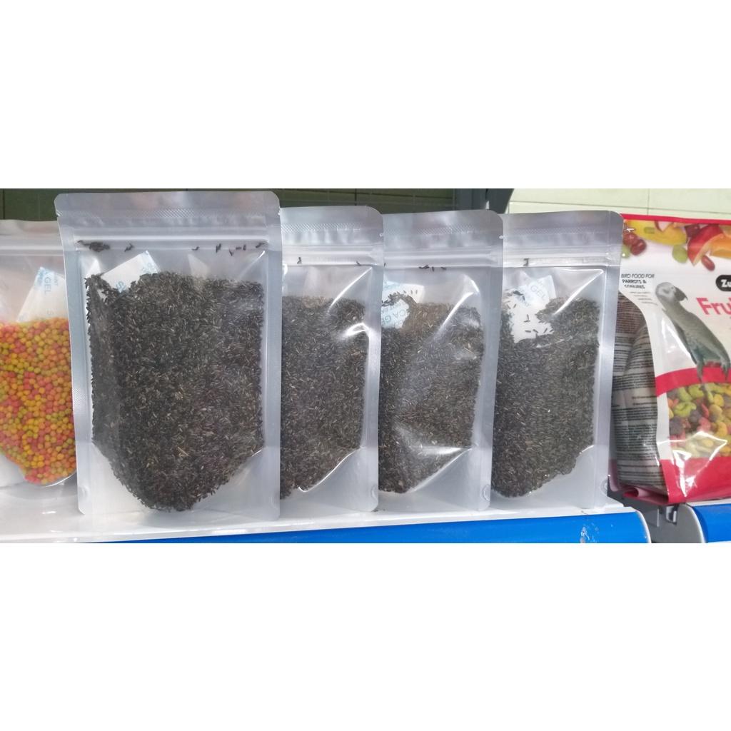 200g hạt Niger tác dụng kích cồ cho chim vẹt