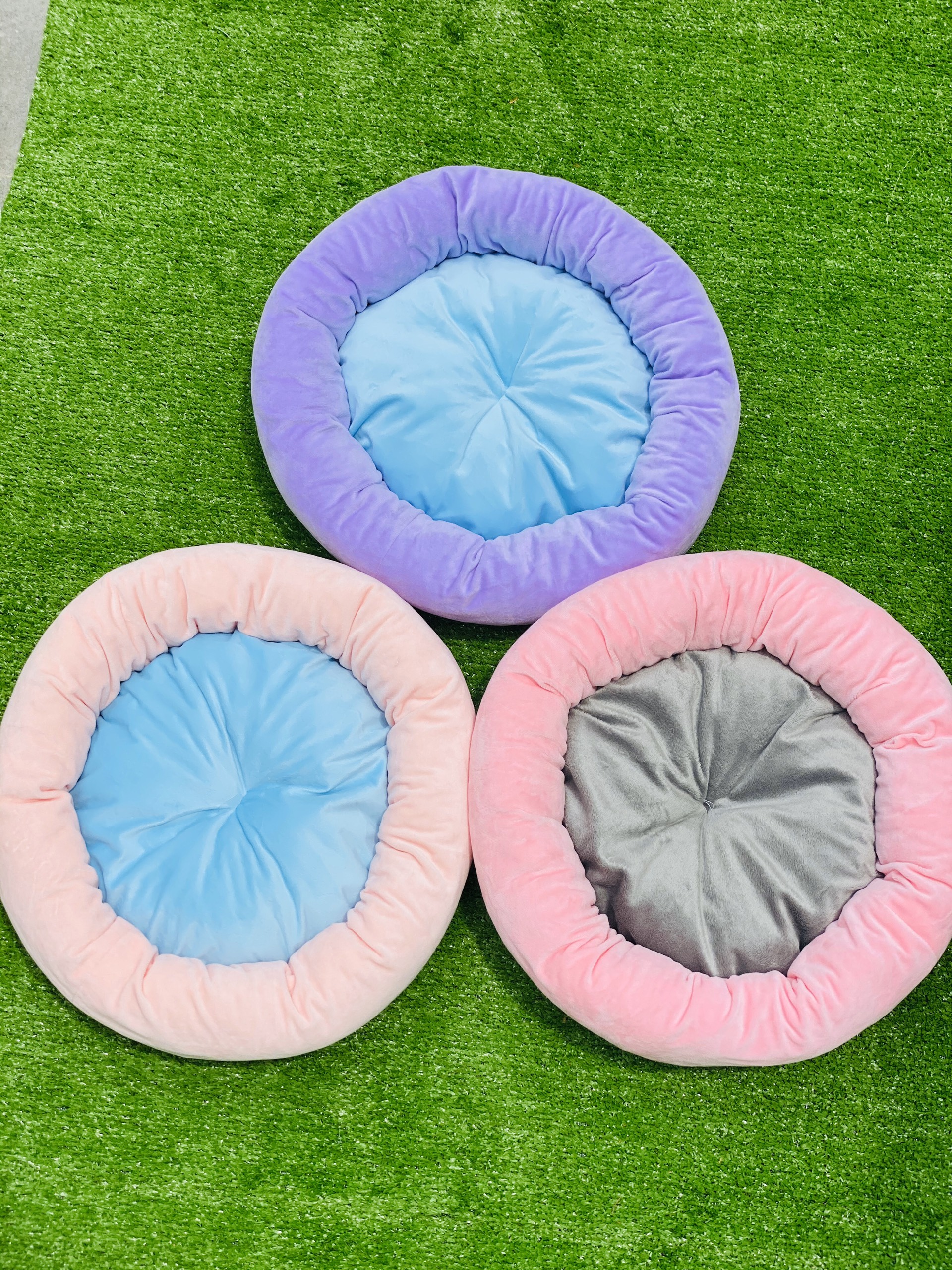 NỆM CHO MÈO GIÁ RẺ MINA