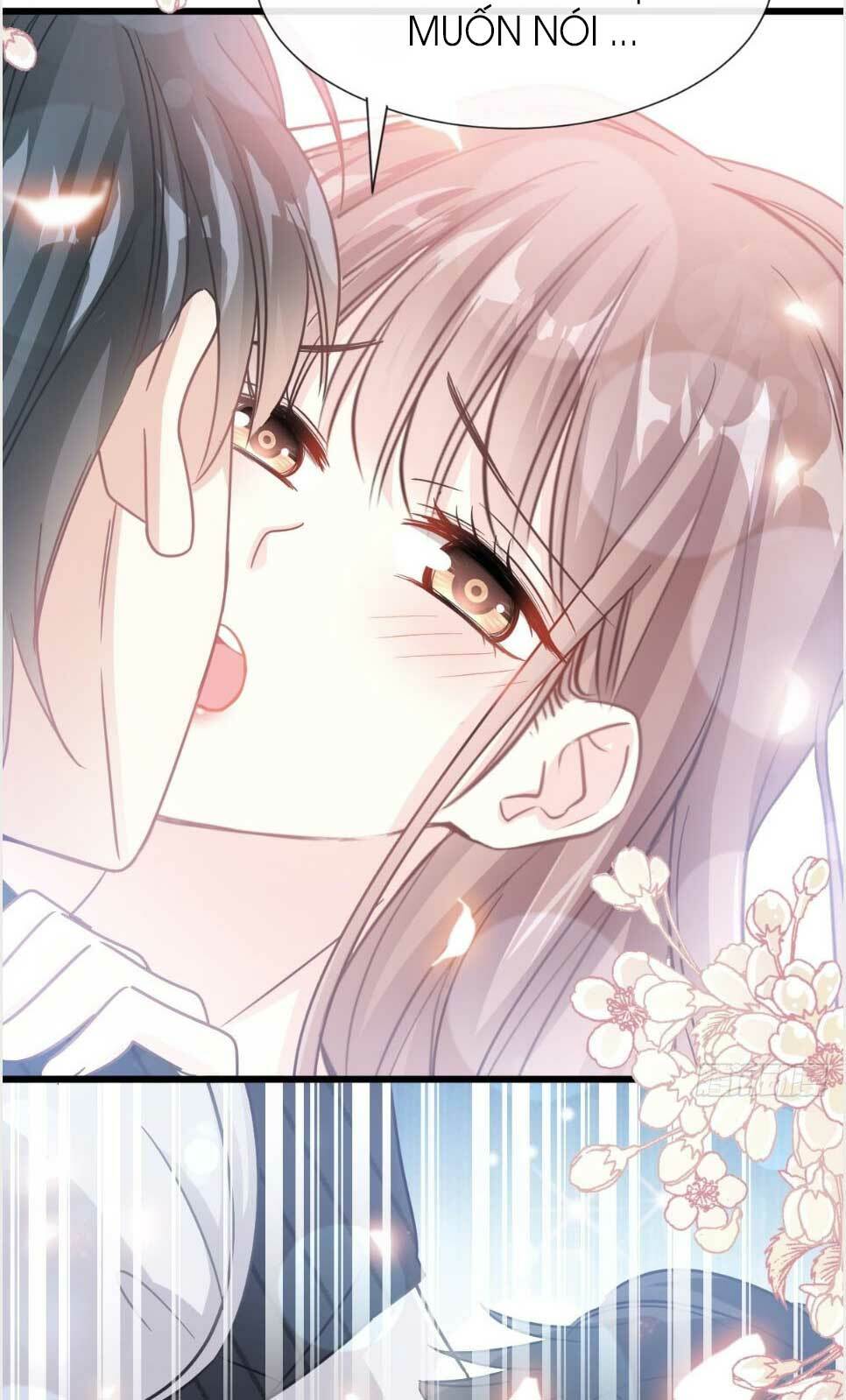 bá đạo tổng tài nhẹ nhàng yêu chapter 62.1 6