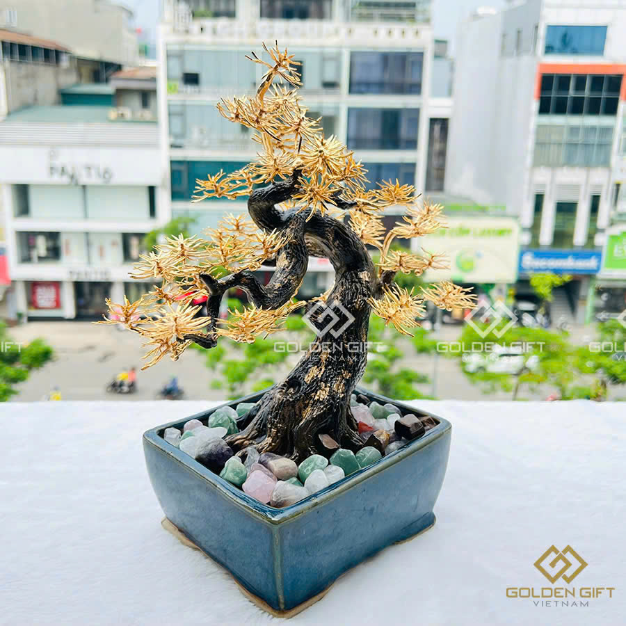 Cây Tùng La Hán mạ vàng