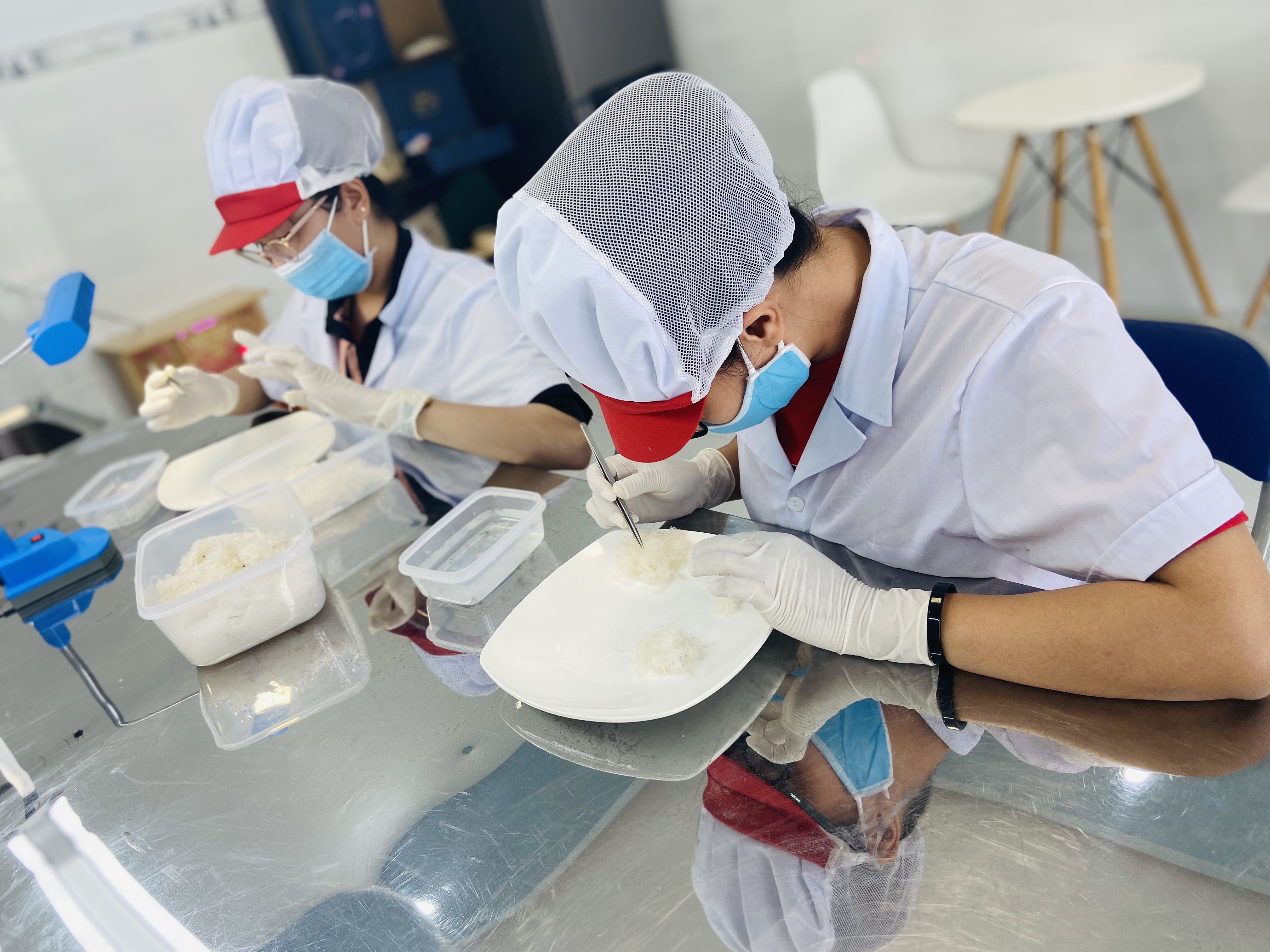 Yến sào Huỳnh Nest