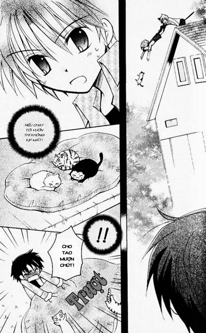 boku x neko? chapter 4 29