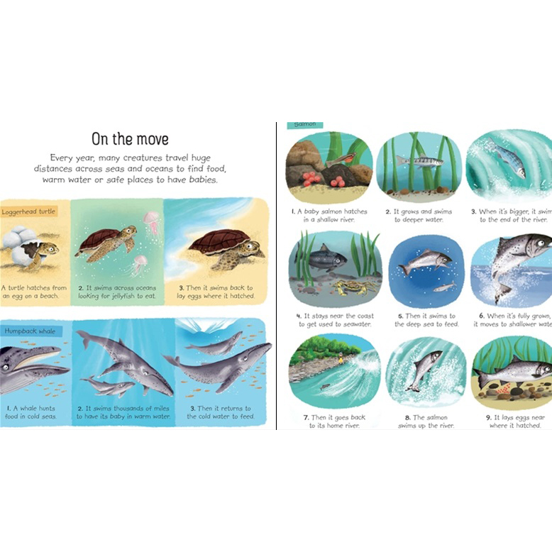 Sách thiếu nhi tiếng Anh - Usborne My First: Seas And Oceans Book