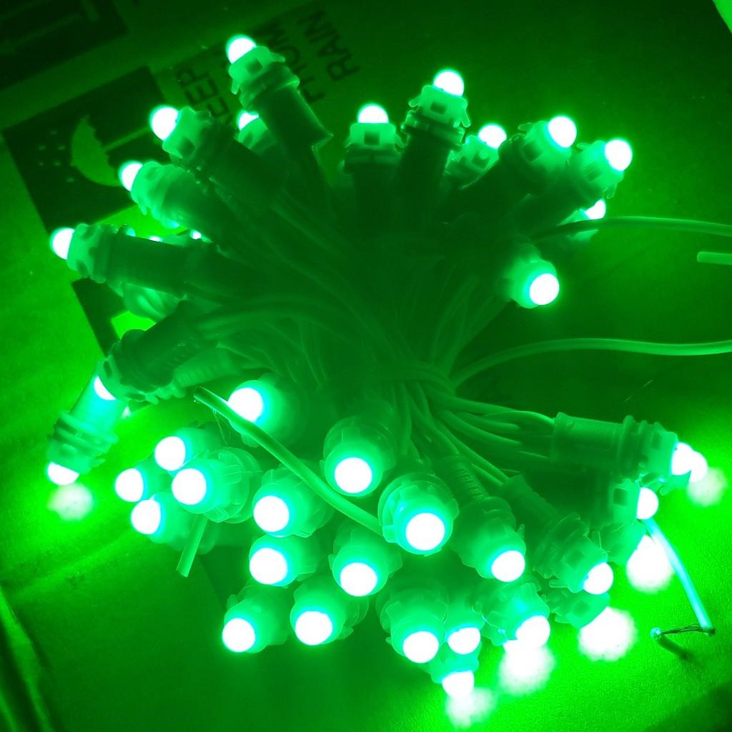 Cuộn Led đúc F5 trang trí đơn màu ánh sáng trắng, vàng, xanh lá