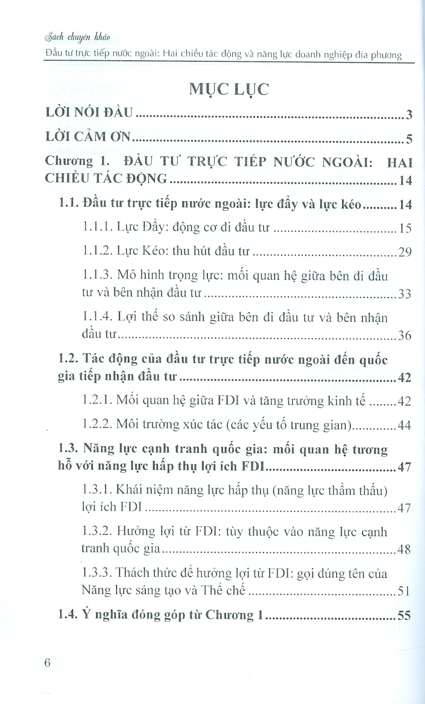 Đầu Tư Trực Tiếp Nước Ngoài: HAI CHIỀU TÁC ĐỘNG VÀ NĂNG LỰC DOANH NGHIỆP ĐỊA PHƯƠNG