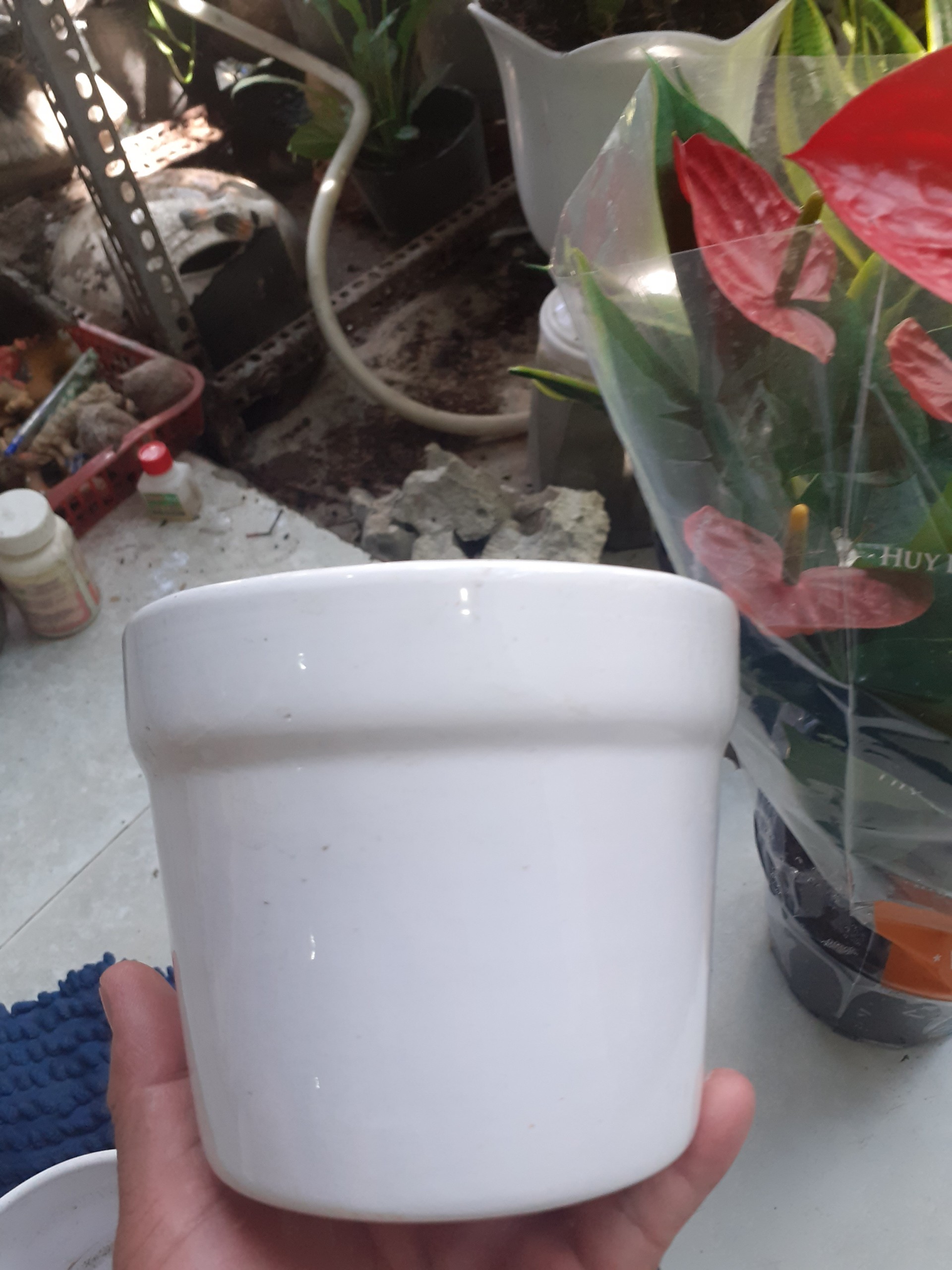 Chậu đất nung TRÁNG MEN MÀU TRẮNG có thành miệng chậu.