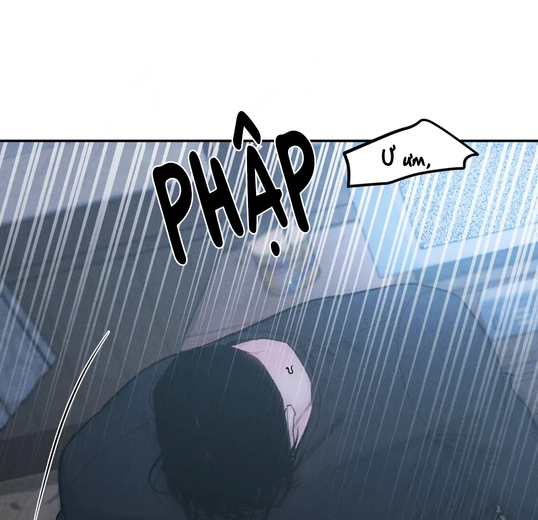 limited run chapter 29 7