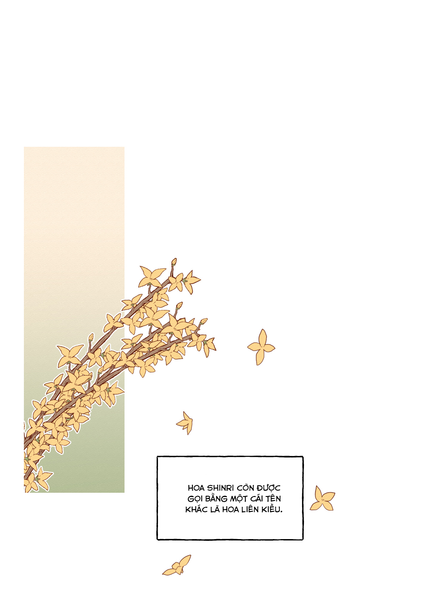 đường hoa liên kiều rơi chapter 31 1