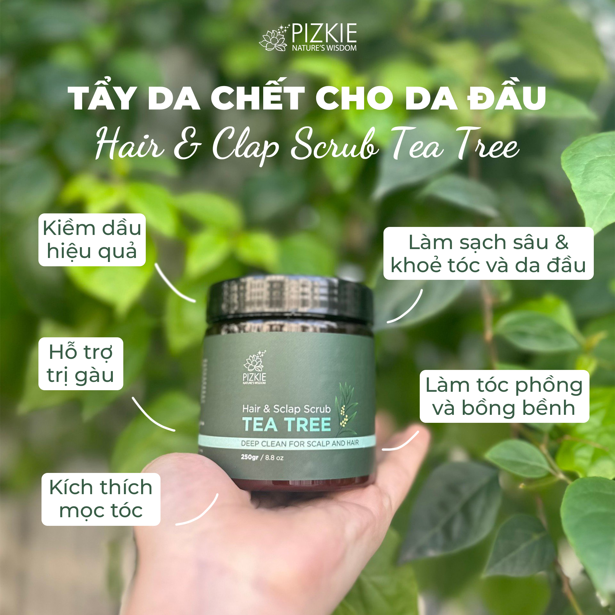 Muối tẩy tế bào chết da đầu tràm trà Pizkie 250gr lâu bết sạch gàu, sạch nhờ da đầu, hỗ trợ mọc tóc