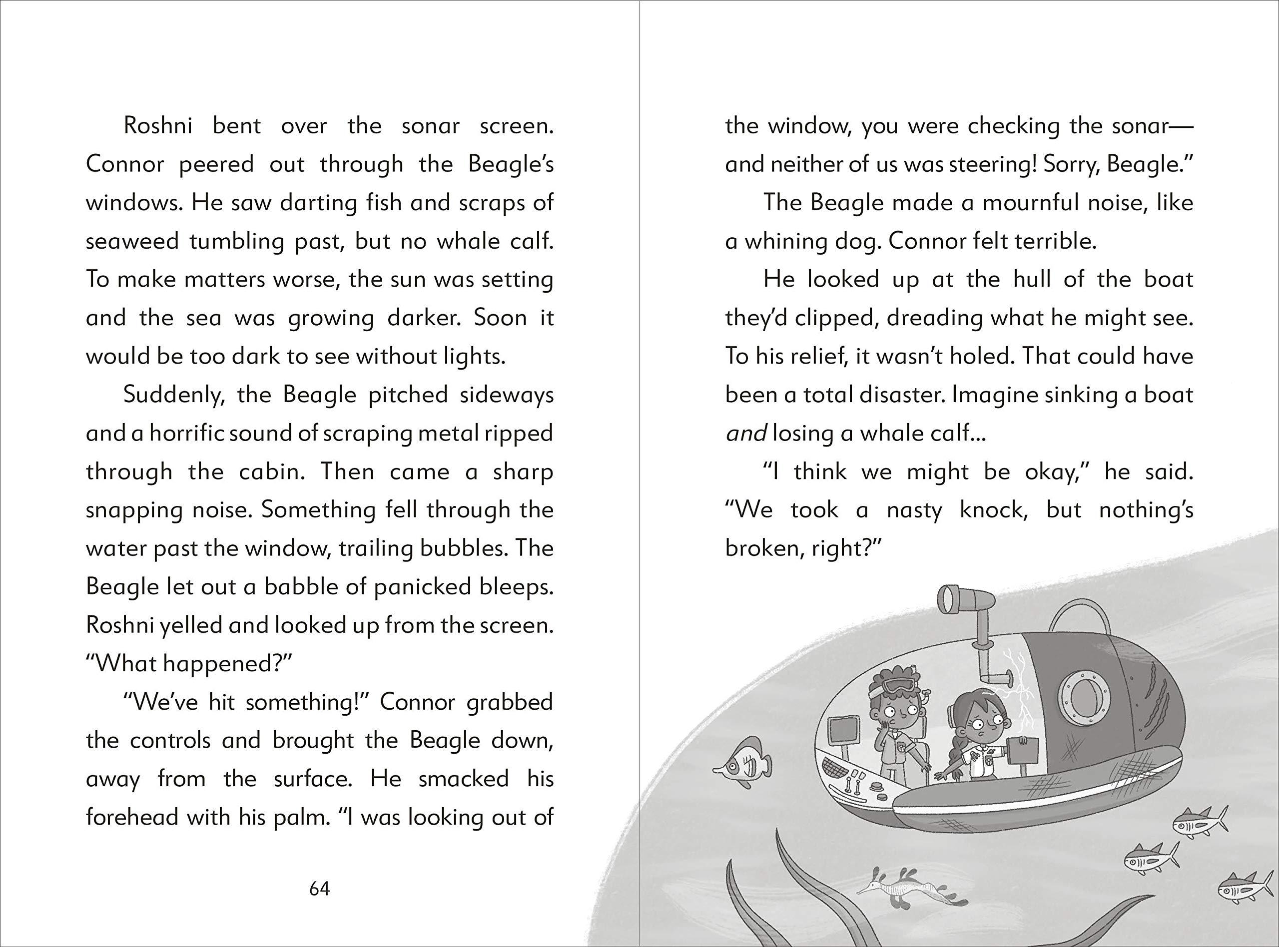 The Secret Explorers And The Lost Whales