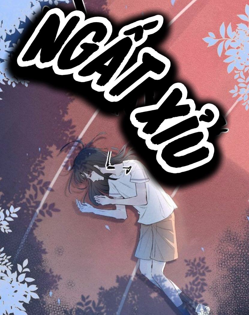 nỗi buồn của hoa cẩm tú cầu chapter 8 8