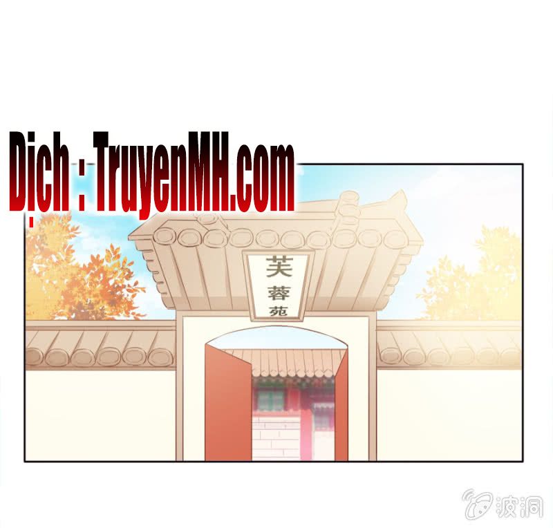 solo đi vương gia chapter 55 1