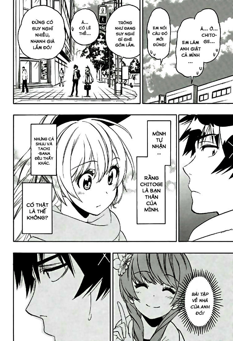 nisekoi - tình yêu giả tạo chapter 196 11