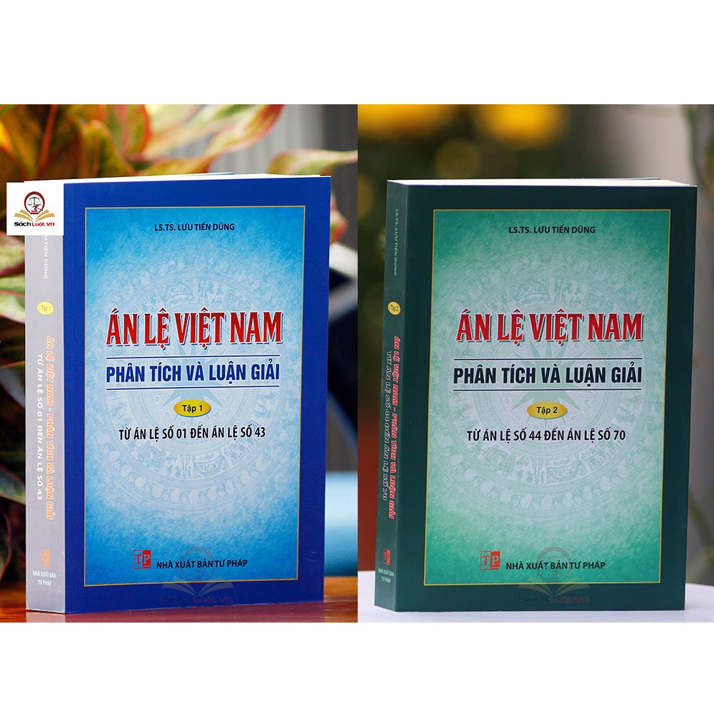 Án lệ Việt Nam - Phân tích và luận giải (tập 1 và 2)
