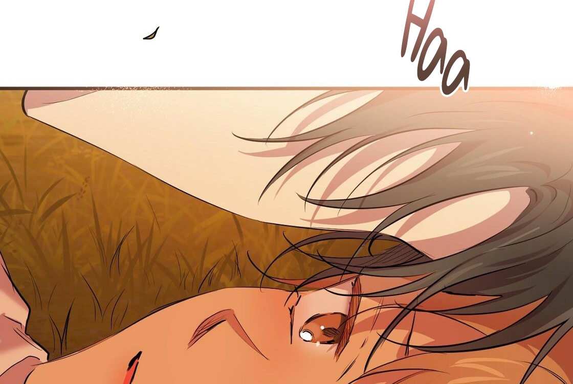 đàn thỏ của habibi chapter 24 168