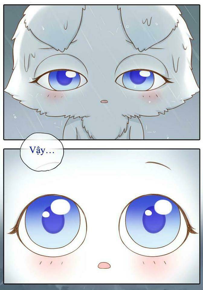 tiểu hồ ly vs tiểu hóa thượng chapter 10 15