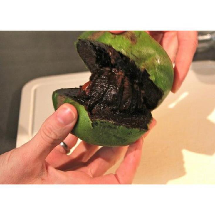 CÂY GIỐNG HỒNG ĐEN SOCOLA NHIỆT ĐỚI SIÊU NGON, CAM KẾT CHUẨN GIỐNG F1