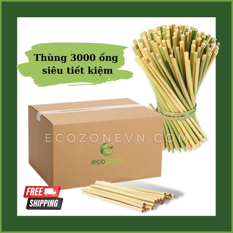 Thùng 3000 ống hút cỏ bàng khô Ecozone cao cấp tiết kiệm - Grass Straws - Hàng xuất khẩu