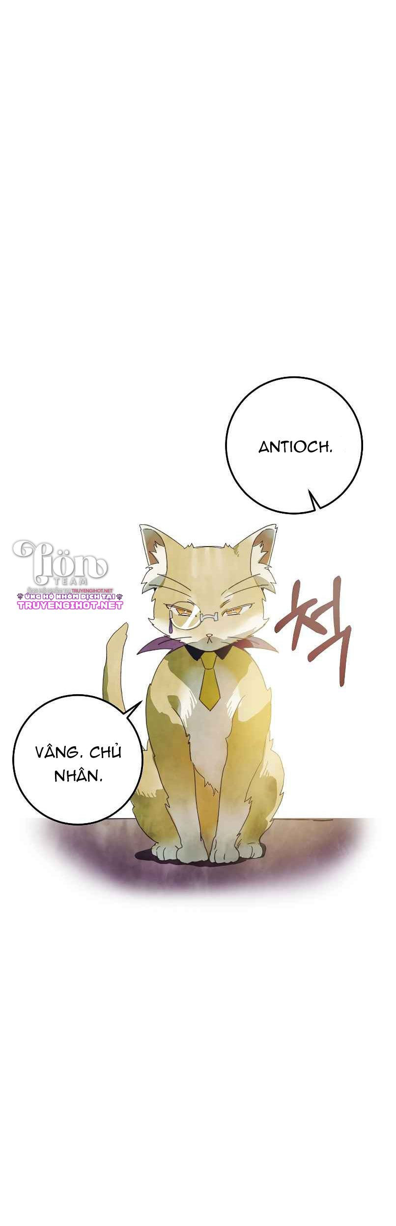 câu chuyện về đứa con lai chapter 3.1 11