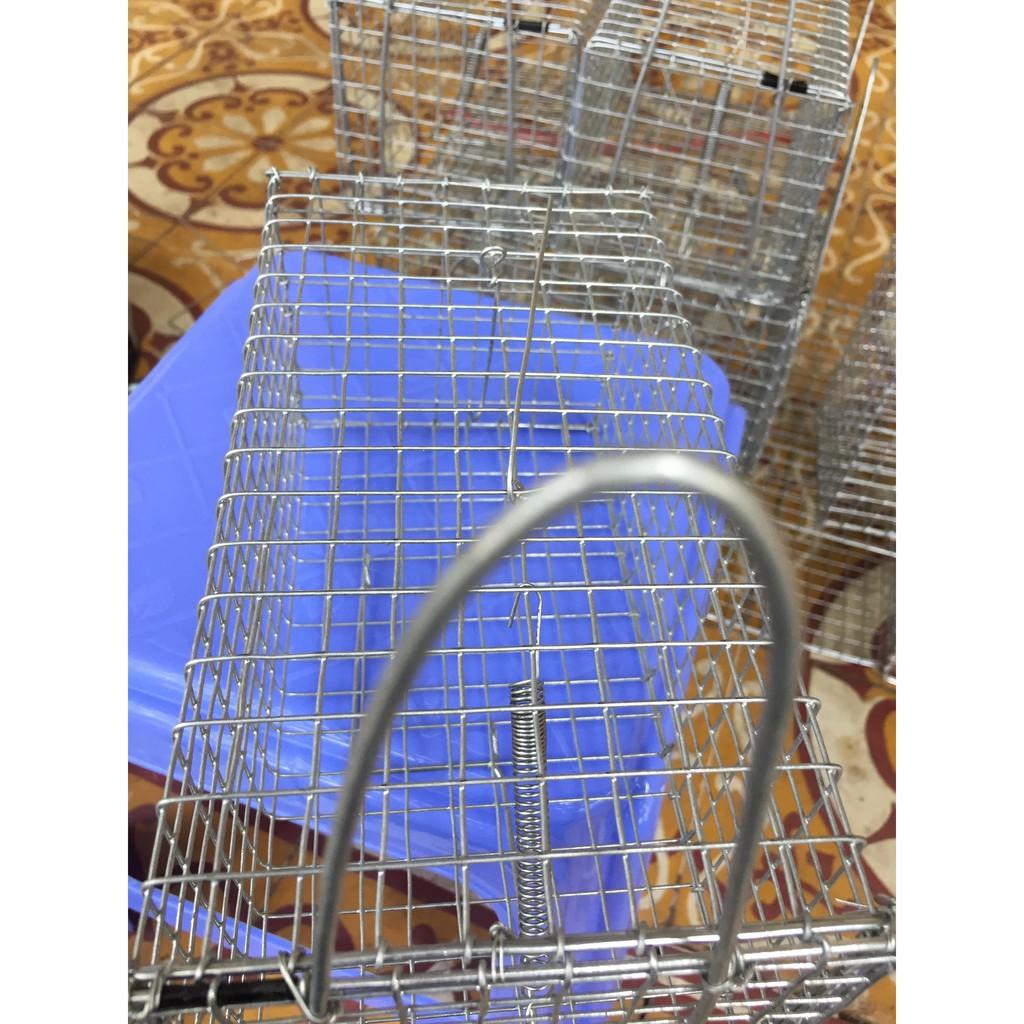 Sét 02 Bẫy chuột cống, sóc MÓC không rỉ sét