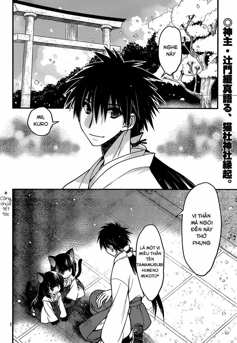 tamanyan chapter 5 3
