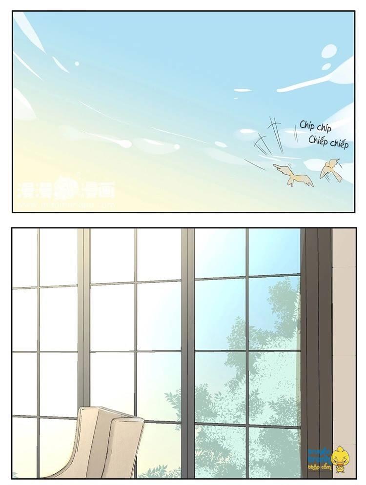 cứu mạng ! loài mèo thống trị thế giới rồi ! chapter 15 16