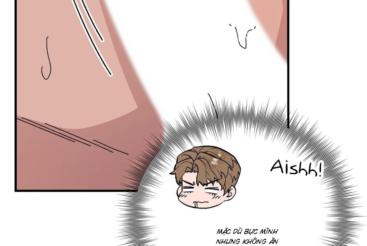 chàng dâu nhà họ kang chapter 46 12