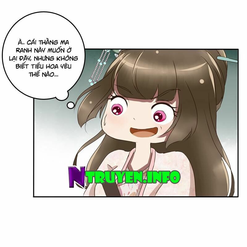 thông linh phi chapter 84.5 24