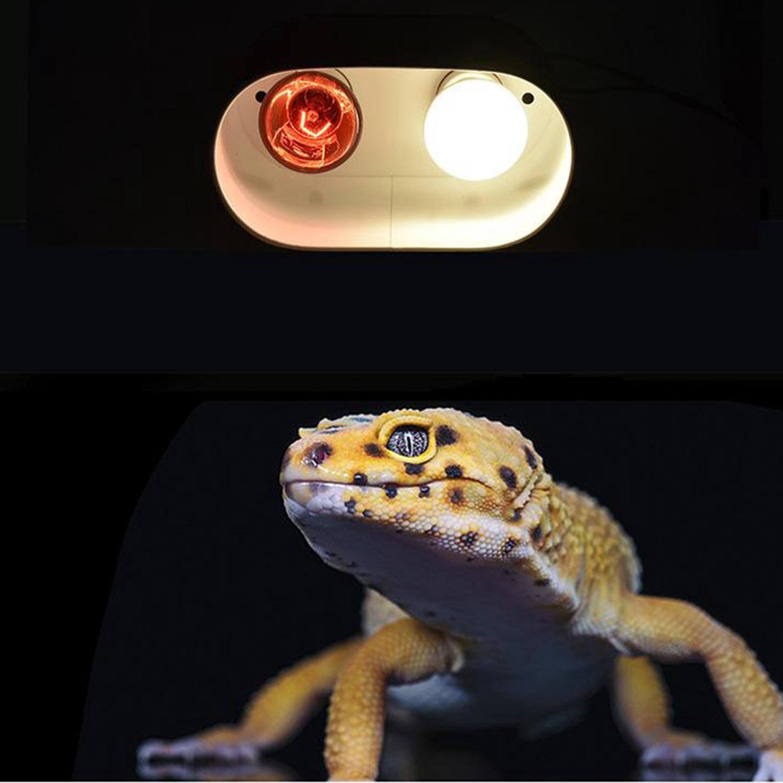 Reptile Light Fixture Deep Dome Dual Lamp Fixture,Tropical UVB Light Reptile Heat Lamp Base E27 Lamp Holder, Premium Reptile Reflector with Switches