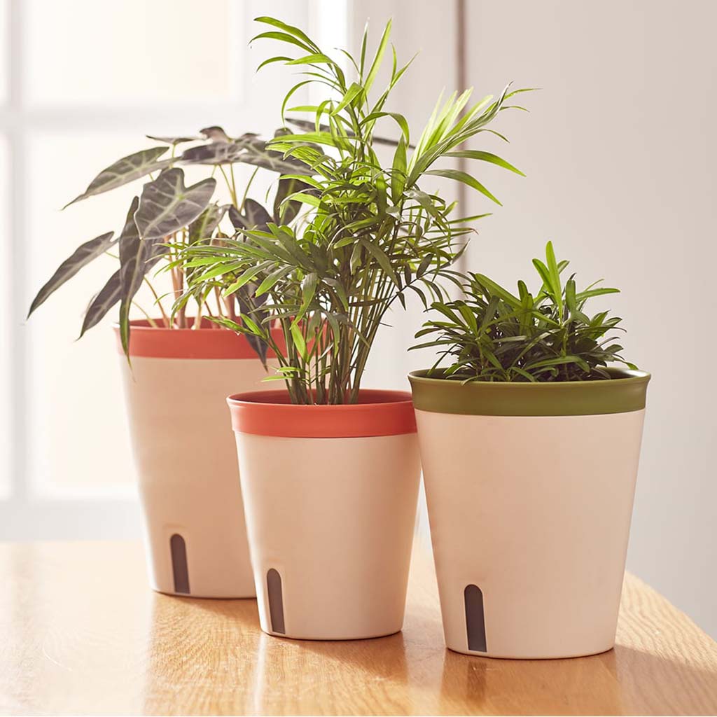 Chậu tự tưới thông minh đường kính 16,4x18cm
